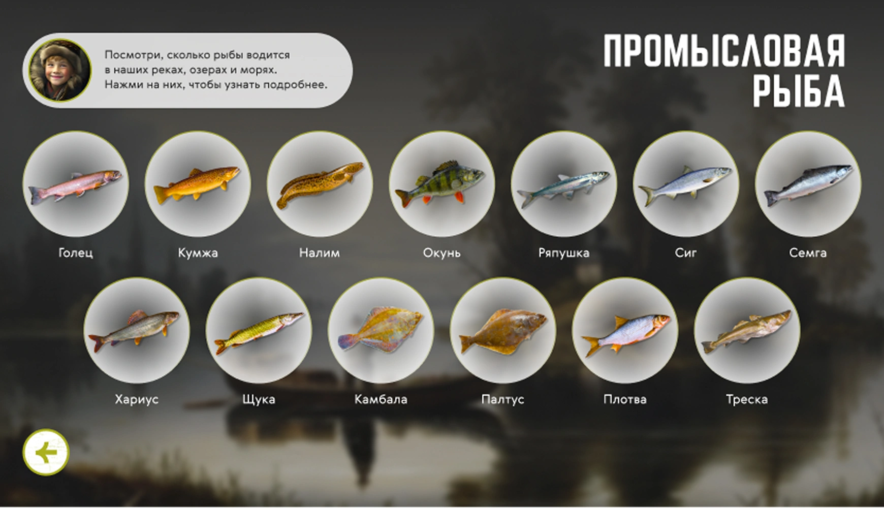 mira_web_site_mokm_ui_26