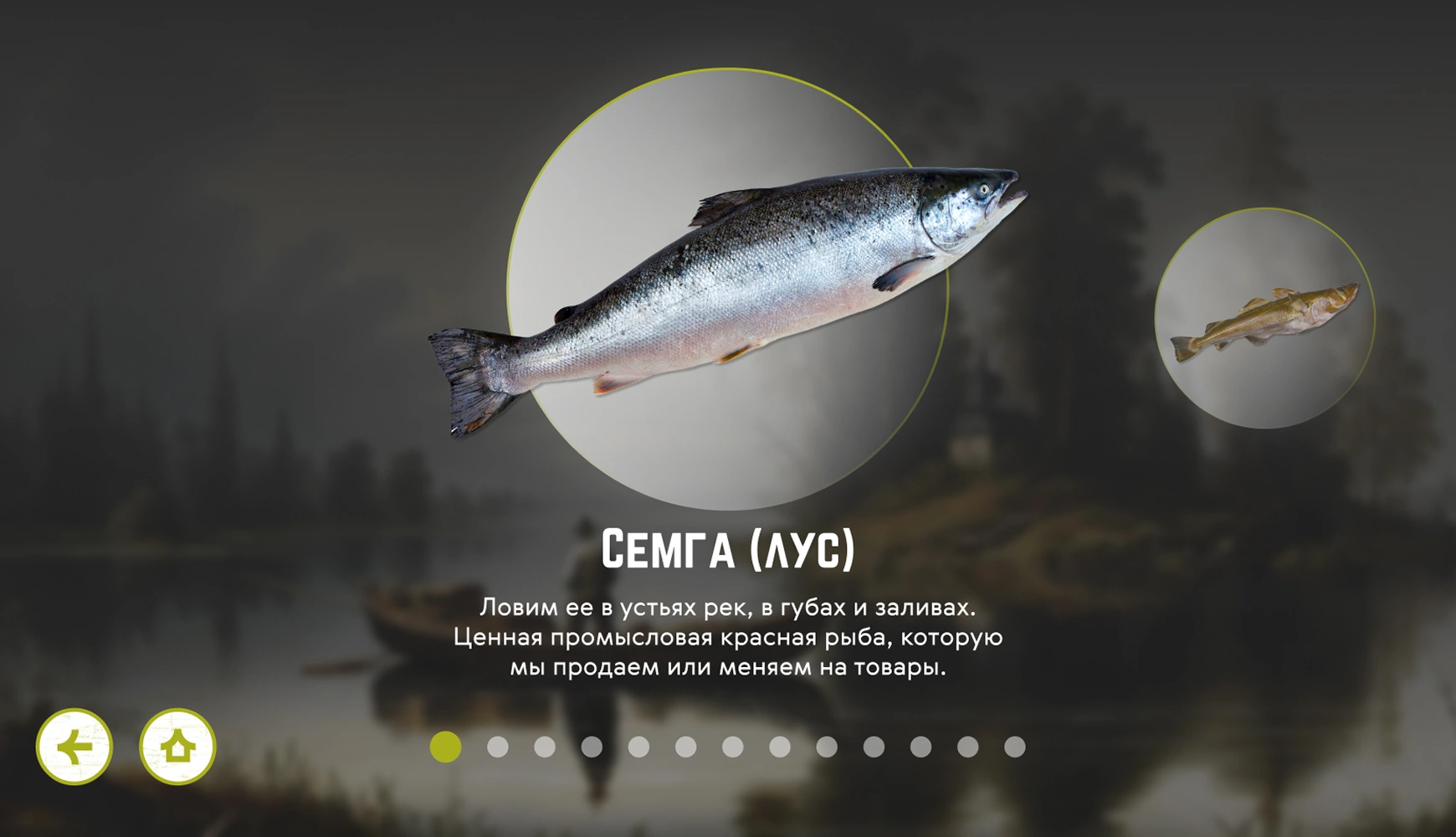 mira_web_site_mokm_ui_28