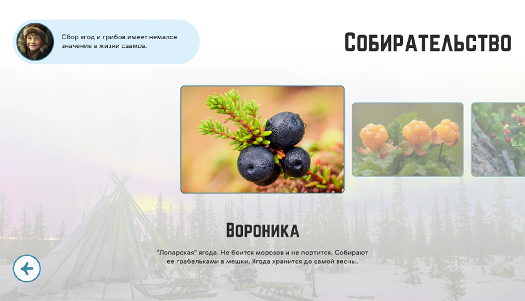 mira_web_site_mokm_ui_31