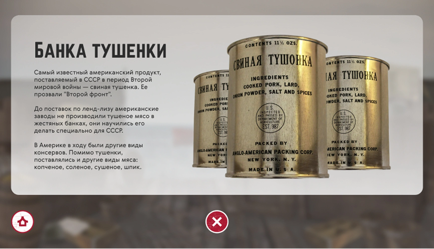 mira_web_site_mokm_ui_46