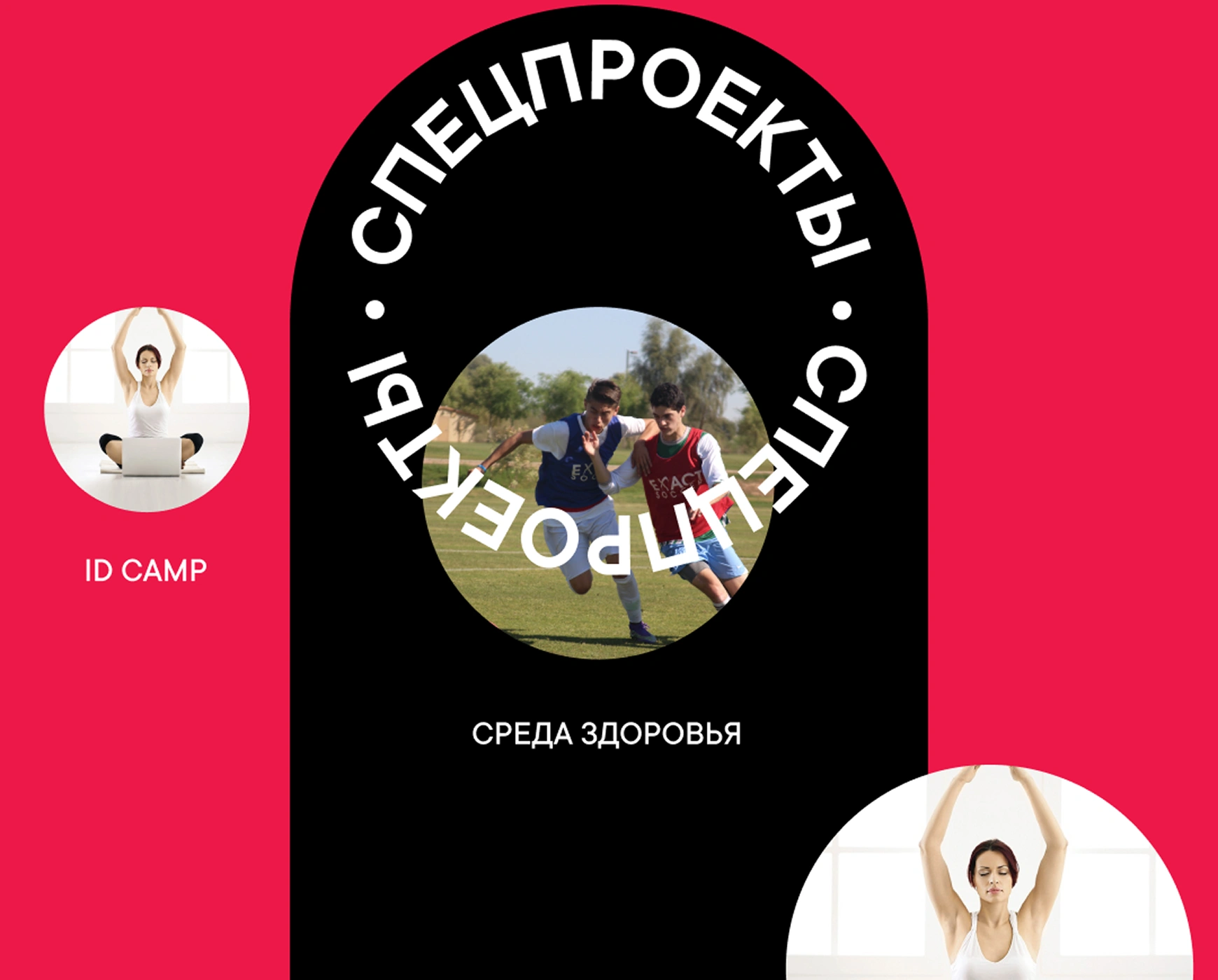 mira_web_site_styleproject_13